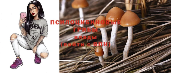 бошки Магас