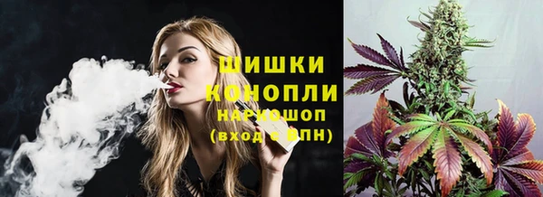 винт Рославль