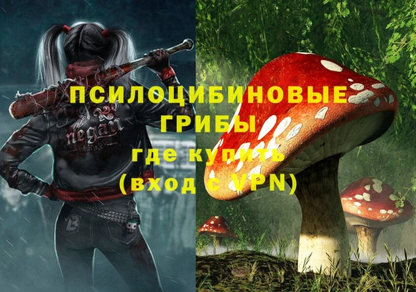 бошки Магас