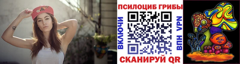 маркетплейс состав купить цена Ханты-Мансийск Псилоцибиновые грибы Psilocybe