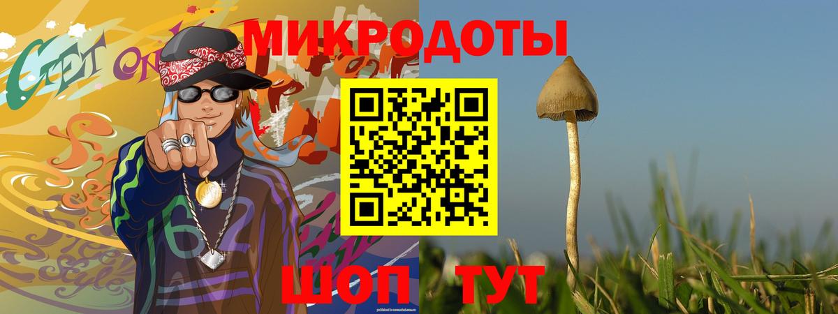 Галлюциногенные грибы Psilocybine cubensis Ханты-Мансийск